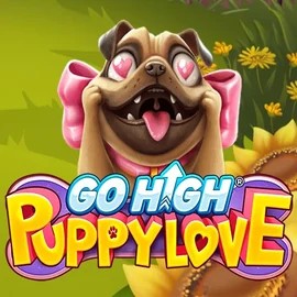 Go High Puppy Love casino game by RubyPlay – featured logo at Spinalto Casino